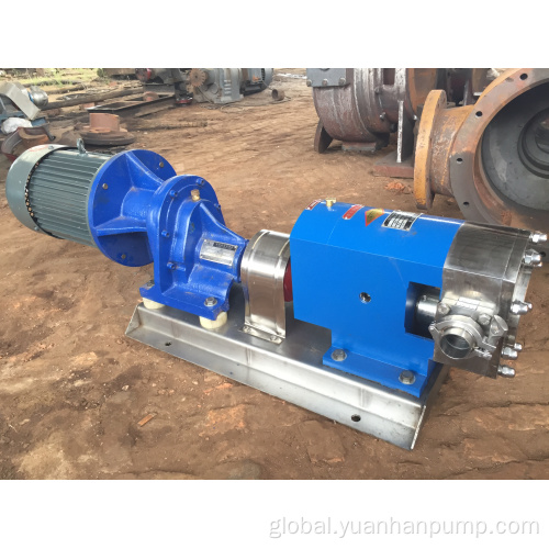 Stainless Steel Pump food grade stainless steel lobe Pump Stator Rotor Pump Factory